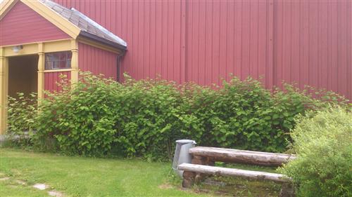 Klikk for stort bilde